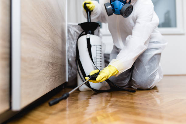 Best Exterminator Services  in North Hills, NY
