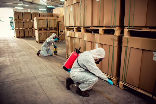 Professional Pest Control in North Hills, NY
