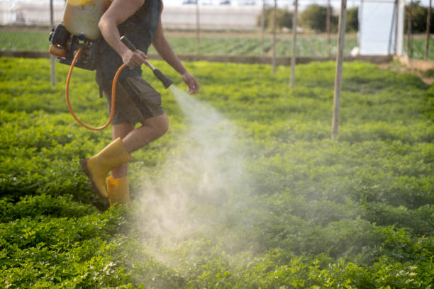 Best Pest Prevention Services  in North Hills, NY