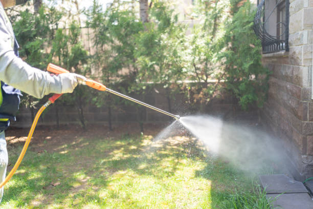 Wasp Removal Services in North Hills, NY