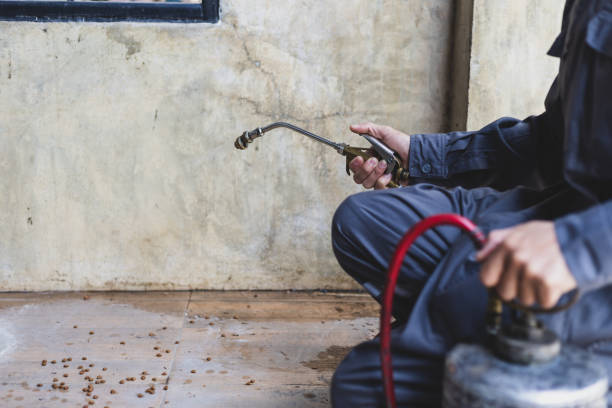 Best Pest Removal Services  in North Hills, NY