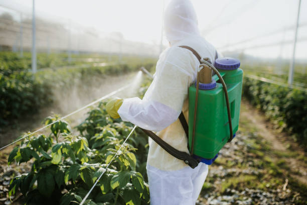 Best Local Pest Control Services  in North Hills, NY